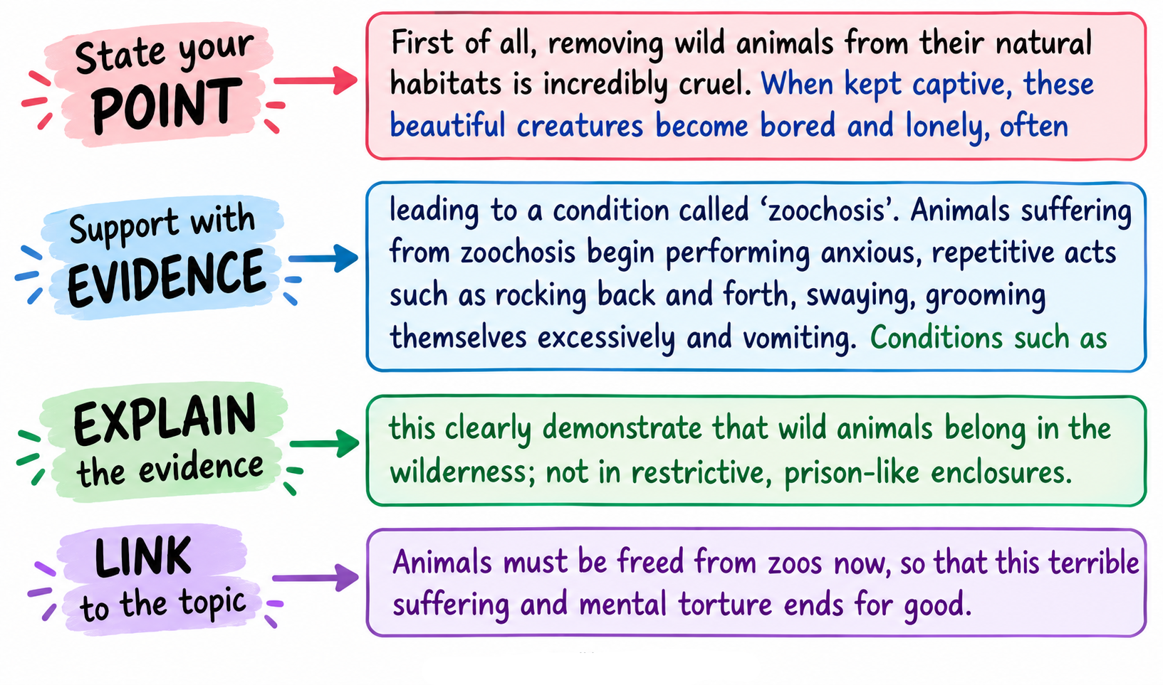 A PEEL paragraph: point, evidence, explanation and link, colour-coded